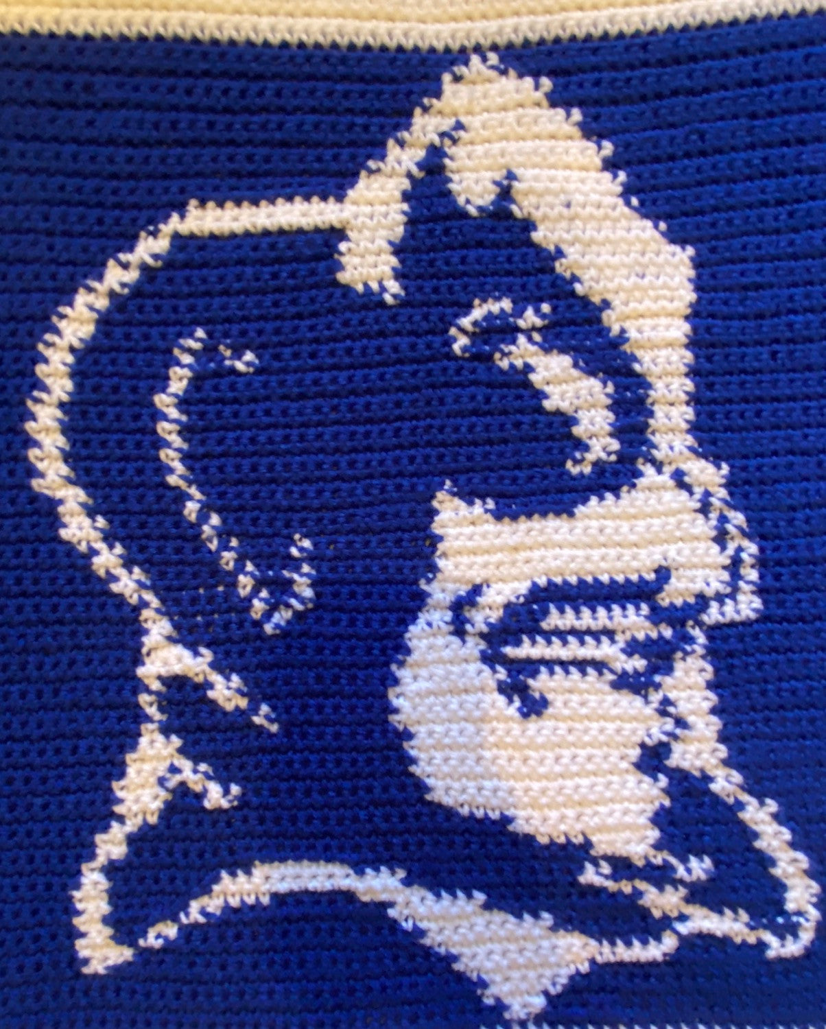 Duke Crochet Blanket
